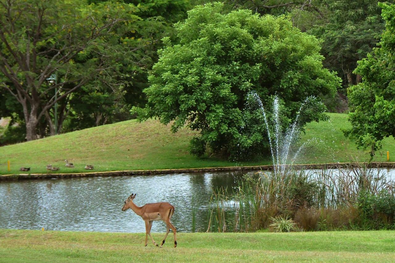 Kruger Park Lodge Unit No. 243 Hazyview Exterior foto